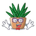 Geek character small zebra cactus plant on pot