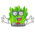 Geek green seaweed isolated with the character