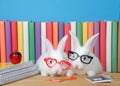 Geeky back to school bunnies wearing glasses Royalty Free Stock Photo
