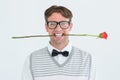 Geeky hipster holding a red rose in his teeth Royalty Free Stock Photo