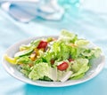 Geen garden salad Royalty Free Stock Photo