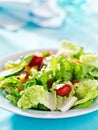 Geen garden salad Royalty Free Stock Photo