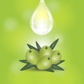 Geen olives branch and oil drop isolated on green background. Design for olive oil, cosmetics, health care products.