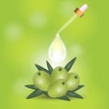 Geen olives branch and oil drop isolated on green background. Design for olive oil, cosmetics, health care products.