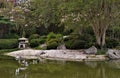 Geese along the shore in the park pond