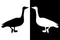 Geese. Black silhouette