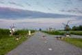 Geese cross the road in a Dutch village with windmills. Wooden windmills at sunset in the Dutch village of Kinderdijk.