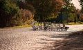 geese crossing the road Royalty Free Stock Photo