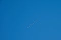 Geese in flight aganist  a clear blue sky Royalty Free Stock Photo