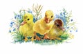 Geese flock swimming on pond watercolor vector illustration Royalty Free Stock Photo