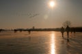 Ice skater silhouette on a frozen windmill canal at sunrise moment