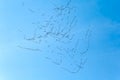 Geese Flying Royalty Free Stock Photo