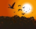 Geese flying over a forest at sunrise/sun Royalty Free Stock Photo