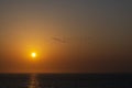 Geese flying at the orange sunset reflection on the ocean water Royalty Free Stock Photo