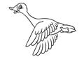 Geese funny birds fly cartoon coloring page Royalty Free Stock Photo