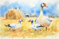 geese and goslings near a farms hay bales