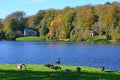 Geese, Pantheon and Blue Lake at Stourhead Garden in Autumn, Wiltshire, UK Royalty Free Stock Photo