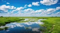 geese prairie pothole marsh