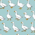 Geese seamless pattern Royalty Free Stock Photo