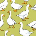 Geese seamless pattern Royalty Free Stock Photo