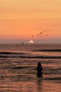 Geese silhouette standing in front a boat sailing on the sunset horizon