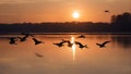 Geese silhouettes flying in a V-formation across the evening sky,