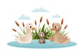 Geese swim in pond. Ugly duckling fairy tale cartoon vector illustration Royalty Free Stock Photo