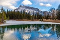 Geese Swimming On Cascade Ponds