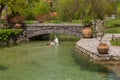 Geese swimming down the river in the summer day