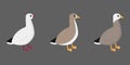 Geese vector illustration on gray background