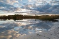 Reflection of the clouded sky in the lake of the Geestmerambacht recreational area. During sunset, the typically Dutch clouds drif Royalty Free Stock Photo