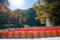 Geibikei Gorge River Cruises in Autumn foliage season