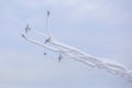 Geico Skytyper US Air Force Combat Planes Performing Aerial Maneuvers At An Air Show