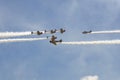 Geico Skytypers SNJ-2 World War II-era planes