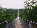 Geierlay suspension bridge Royalty Free Stock Photo