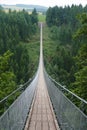 Geierlay suspension bridge Royalty Free Stock Photo