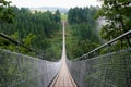 Geierlay suspension bridge Royalty Free Stock Photo