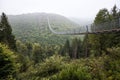 Geierlay suspension bridge in Germany Royalty Free Stock Photo