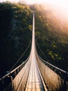 Geierlay suspension bridge in Germany surrounded by lush green forest Royalty Free Stock Photo