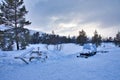 Snow Sled Dogs in Geilo, Norway