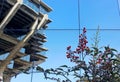 Geisel Library of UCSD