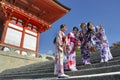 Geisha in Kyoto Royalty Free Stock Photo