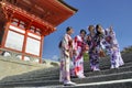 Geisha in Kyoto