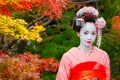 Geisha - Maiko in Gion District in Kyoto, Japan Royalty Free Stock Photo