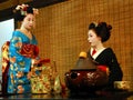 Geisha tea ceremony Royalty Free Stock Photo
