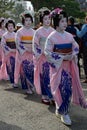 Geishas walking during Sanja Matsuri