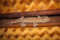 Gekko gecko, El Nido,Palawan Island, Philippines. Royalty Free Stock Photo