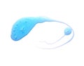 Gel water drop blue isolate (clipping path). Royalty Free Stock Photo