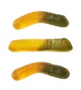 Gelatin based worm candy