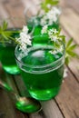 Gelatin dessert with woodruff Royalty Free Stock Photo